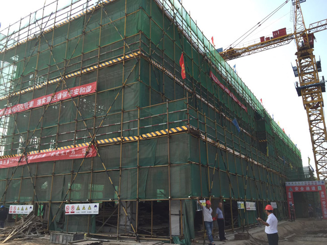 �ȷ�����ӵ���Сѧ��Ŀ-��ĭ����