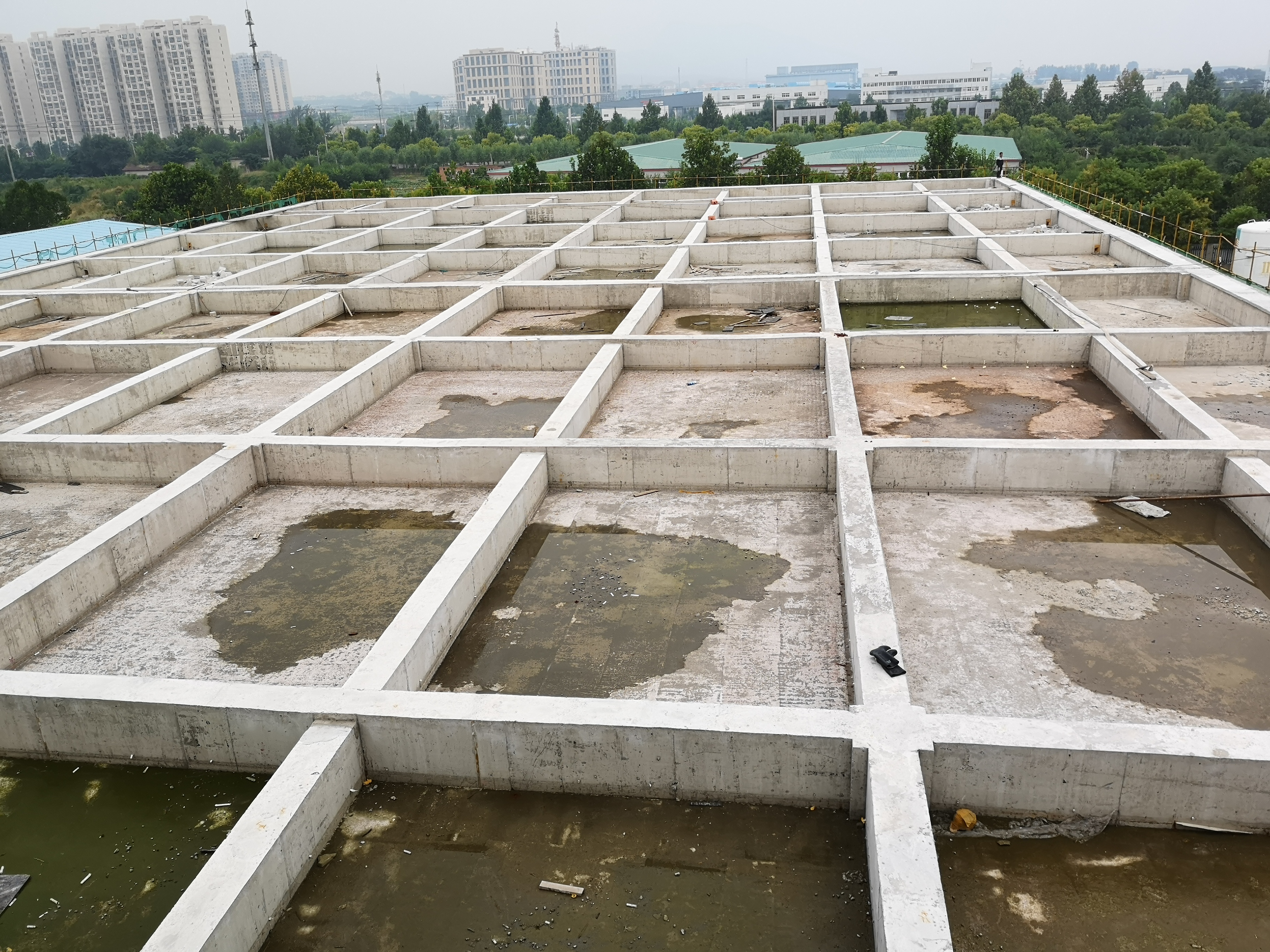 �Ϸ������